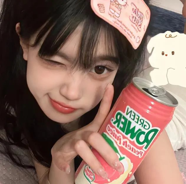 妙探双龙